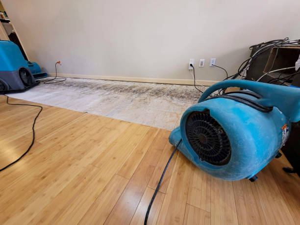 Professional Burst Pipe Water Damage technician working in Edgewater, NJ